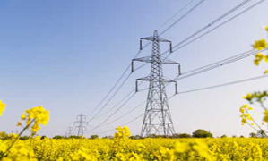Field And Electricity 299X180